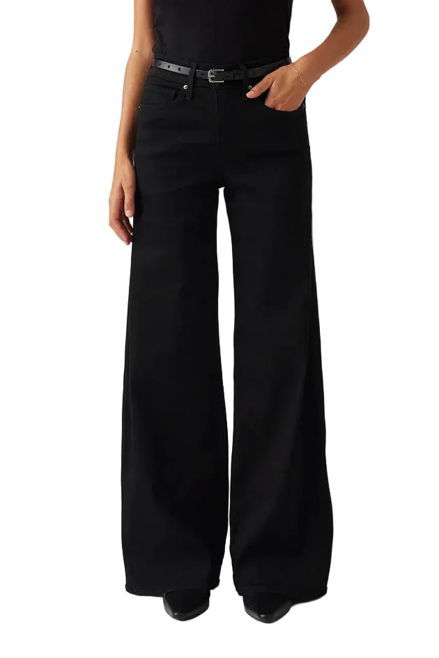 Person wearing black wide-leg pants on a plain background